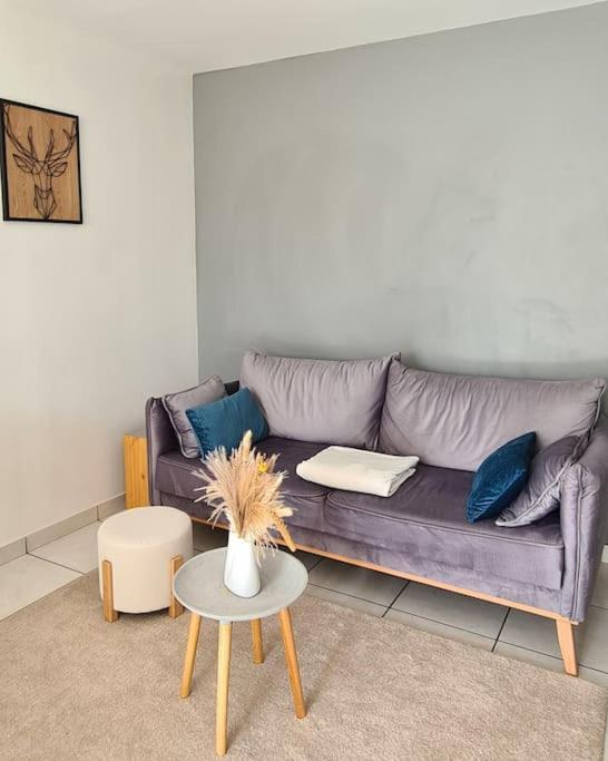 Gite De 70M² Avec Vue Sur Le Massif Du Pilat Clonas-sur-Vareze Ngoại thất bức ảnh