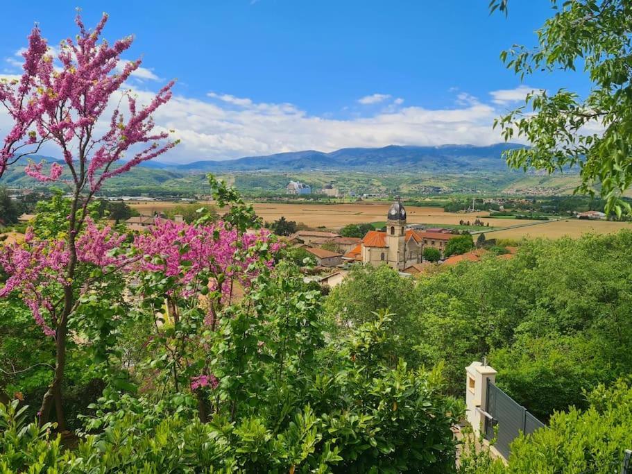 Gite De 70M² Avec Vue Sur Le Massif Du Pilat Clonas-sur-Vareze Ngoại thất bức ảnh