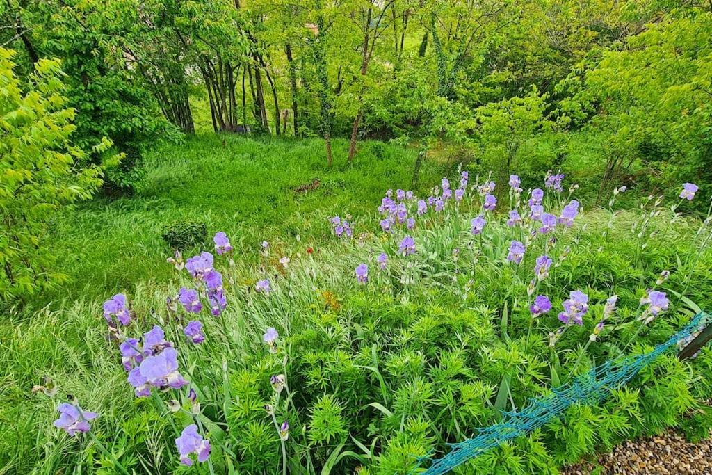 Gite De 70M² Avec Vue Sur Le Massif Du Pilat Clonas-sur-Vareze Ngoại thất bức ảnh